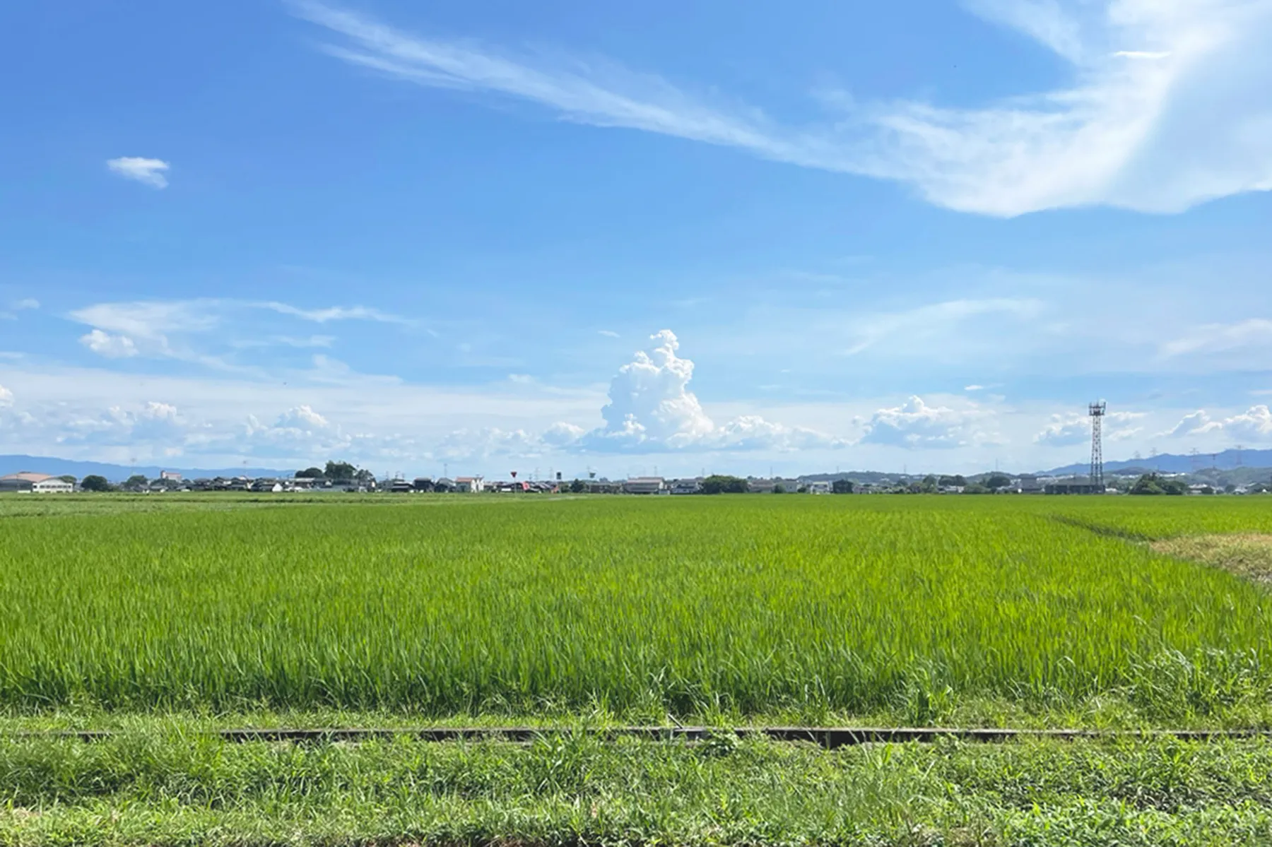 原口想建の「想い」